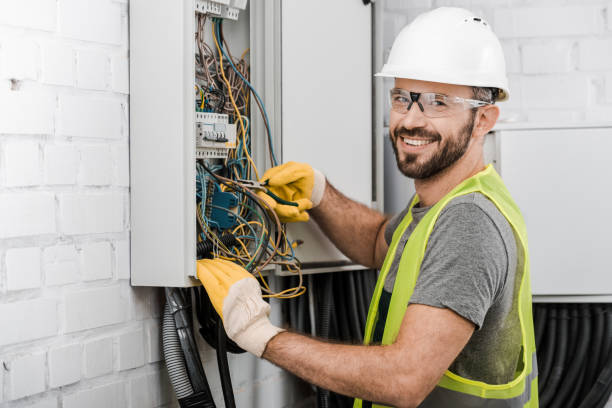 Best Electric Panel Repair  in Pelican Marsh, FL