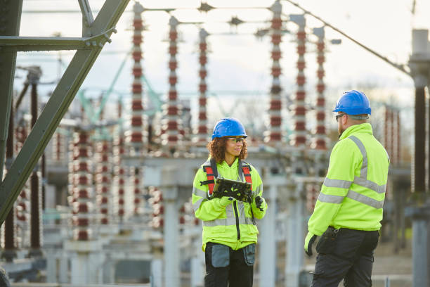 Best Affordable Electrician  in Pelican Marsh, FL